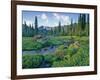 Picnic Creek in the Jewel Basin of the Swan Mountain Range, Montana, USA-Chuck Haney-Framed Photographic Print