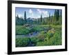 Picnic Creek in the Jewel Basin of the Swan Mountain Range, Montana, USA-Chuck Haney-Framed Photographic Print