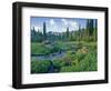 Picnic Creek in the Jewel Basin of the Swan Mountain Range, Montana, USA-Chuck Haney-Framed Photographic Print