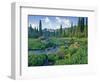 Picnic Creek in the Jewel Basin of the Swan Mountain Range, Montana, USA-Chuck Haney-Framed Photographic Print