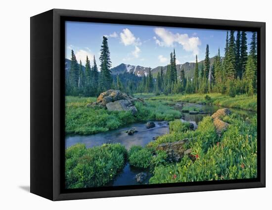 Picnic Creek in the Jewel Basin of the Swan Mountain Range, Montana, USA-Chuck Haney-Framed Stretched Canvas