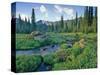 Picnic Creek in the Jewel Basin of the Swan Mountain Range, Montana, USA-Chuck Haney-Stretched Canvas