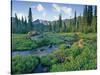Picnic Creek in the Jewel Basin of the Swan Mountain Range, Montana, USA-Chuck Haney-Stretched Canvas