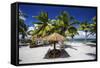 Picnic Huts on the Beaches of Alphonse Island, Seychelles-Matt Jones-Framed Stretched Canvas