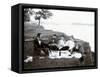 Picnic in 1900-null-Framed Stretched Canvas