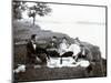 Picnic in 1900-null-Mounted Photographic Print