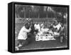 Picnic in Iran-null-Framed Stretched Canvas