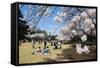 Picnic in the Cherry Blossom in the Shinjuku-Gyoen Park, Tokyo, Japan, Asia-Michael Runkel-Framed Stretched Canvas