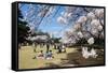 Picnic in the Cherry Blossom in the Shinjuku-Gyoen Park, Tokyo, Japan, Asia-Michael Runkel-Framed Stretched Canvas