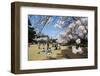 Picnic in the Cherry Blossom in the Shinjuku-Gyoen Park, Tokyo, Japan, Asia-Michael Runkel-Framed Photographic Print