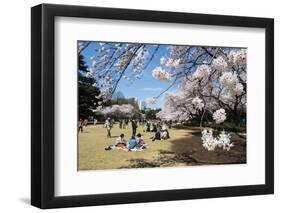 Picnic in the Cherry Blossom in the Shinjuku-Gyoen Park, Tokyo, Japan, Asia-Michael Runkel-Framed Photographic Print