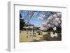 Picnic in the Cherry Blossom in the Shinjuku-Gyoen Park, Tokyo, Japan, Asia-Michael Runkel-Framed Photographic Print