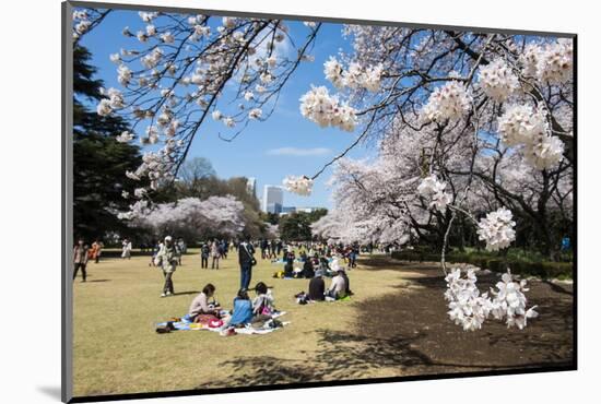 Picnic in the Cherry Blossom in the Shinjuku-Gyoen Park, Tokyo, Japan, Asia-Michael Runkel-Mounted Photographic Print