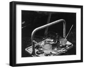 Picnic Lemonade-null-Framed Photographic Print