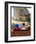 Picnic Lunch of Bread, Cheese, Tomatoes and Red Wine on a Hamper in the Dordogne, France-Michael Busselle-Framed Photographic Print