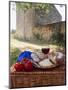 Picnic Lunch of Bread, Cheese, Tomatoes and Red Wine on a Hamper in the Dordogne, France-Michael Busselle-Mounted Photographic Print