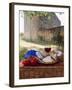 Picnic Lunch of Bread, Cheese, Tomatoes and Red Wine on a Hamper in the Dordogne, France-Michael Busselle-Framed Photographic Print