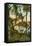Picnic Oak, St. Petersburg, Florida-null-Framed Stretched Canvas