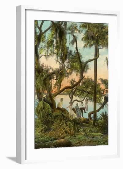 Picnic Oak, St. Petersburg, Florida-null-Framed Art Print