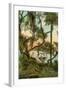 Picnic Oak, St. Petersburg, Florida-null-Framed Art Print