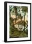 Picnic Oak, St. Petersburg, Florida-null-Framed Art Print