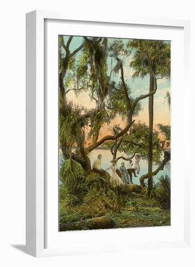 Picnic Oak, St. Petersburg, Florida-null-Framed Art Print