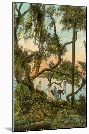 Picnic Oak, St. Petersburg, Florida-null-Mounted Art Print