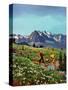 "Picnic On Mt. Ranier", July 17, 1954-John Clymer-Stretched Canvas