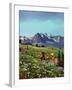 "Picnic On Mt. Ranier", July 17, 1954-John Clymer-Framed Giclee Print