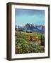 "Picnic On Mt. Ranier", July 17, 1954-John Clymer-Framed Giclee Print