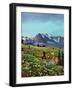 "Picnic On Mt. Ranier", July 17, 1954-John Clymer-Framed Giclee Print