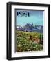 "Picnic On Mt. Ranier" Saturday Evening Post Cover, July 17, 1954-John Clymer-Framed Giclee Print