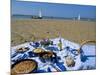 Picnic on the Banc Du Pecheur, Commune Des Portes, Ile De Re, Charente Maritime, France-Bruno Barbier-Mounted Photographic Print