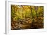 Picnic Perfect II-Alan Hausenflock-Framed Photographic Print