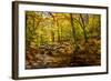 Picnic Perfect II-Alan Hausenflock-Framed Photographic Print