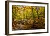 Picnic Perfect II-Alan Hausenflock-Framed Photographic Print