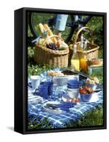 Picnic Scene-Alena Hrbkova-Framed Stretched Canvas