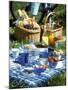 Picnic Scene-Alena Hrbkova-Mounted Photographic Print