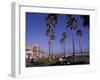 Picnic Tables, Newport Beach, California-Bill Bachmann-Framed Photographic Print