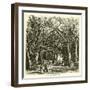 Picnic under Banyan Trees-null-Framed Giclee Print