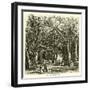 Picnic under Banyan Trees-null-Framed Giclee Print