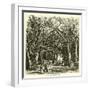 Picnic under Banyan Trees-null-Framed Giclee Print