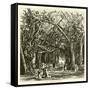 Picnic under Banyan Trees-null-Framed Stretched Canvas