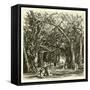 Picnic under Banyan Trees-null-Framed Stretched Canvas