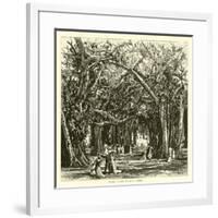 Picnic under Banyan Trees-null-Framed Giclee Print