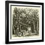 Picnic under Banyan Trees-null-Framed Giclee Print