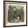 Picnic under Banyan Trees-null-Framed Giclee Print