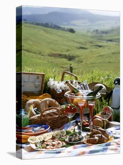 Picnic with Roast Quails and Salmon-Valerie Martin-Stretched Canvas