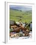 Picnic with Roast Quails and Salmon-Valerie Martin-Framed Photographic Print