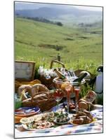 Picnic with Roast Quails and Salmon-Valerie Martin-Mounted Photographic Print